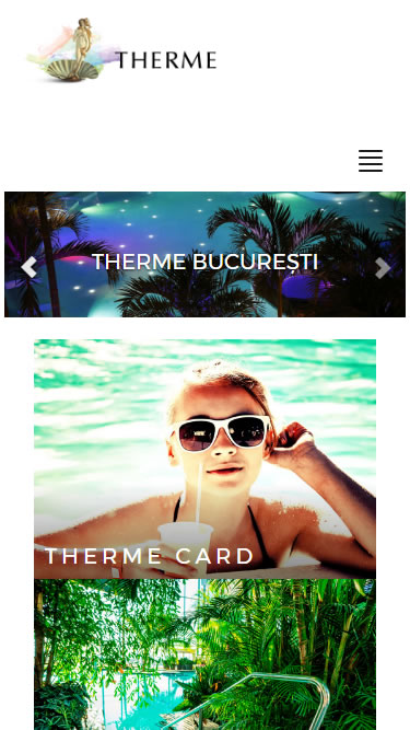 therme-bucuresti_magento_onlineshop_phone_01